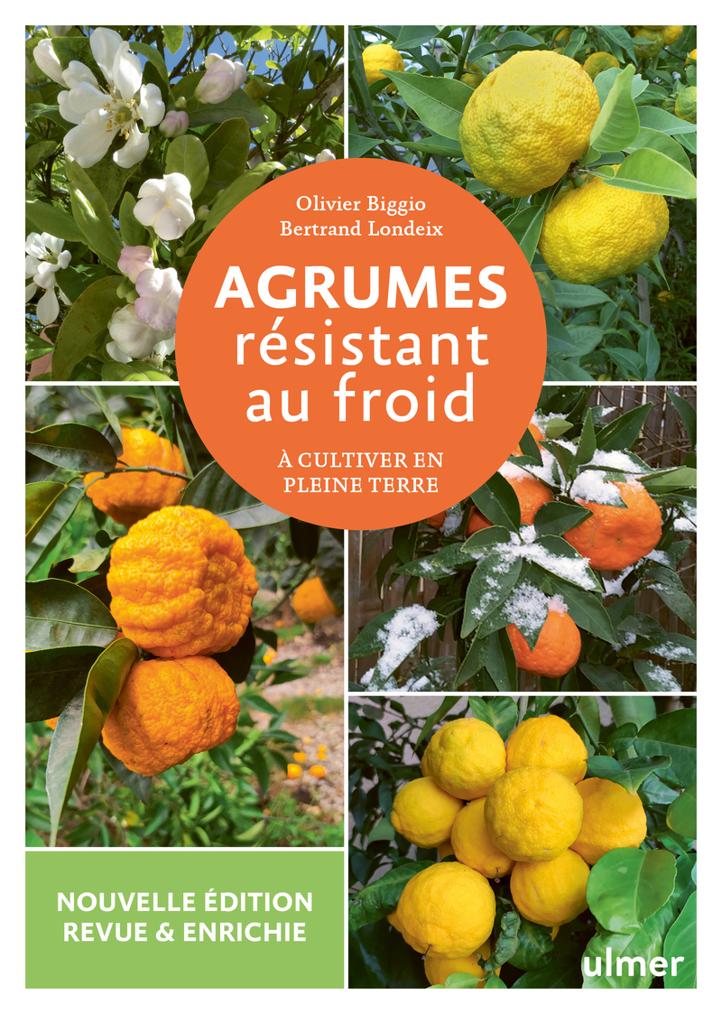 AGRUMES RESISTANT AU FROID - A CULTIVER EN PLEINE TERRE