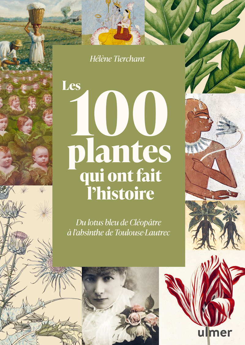 LES 100 PLANTES QUI ONT FAIT L'HISTOIRE - DU LOTUS BLEU DE NEFERTITI A L'ABSINTHE DE TOULOUSE-LAUTRE