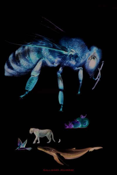 LA GRANDE ENCYCLOPEDIE VISUELLE DE LA NATURE