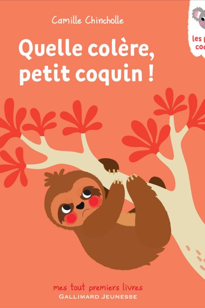 QUELLE COLERE, PETIT COQUIN !