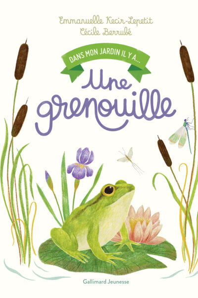 DANS MON JARDIN IL Y A... UNE GRENOUILLE