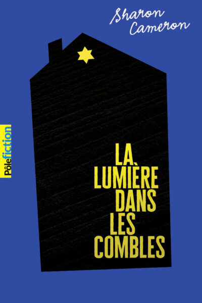 LA LUMIERE DANS LES COMBLES