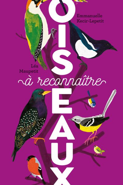 OISEAUX A RECONNAITRE