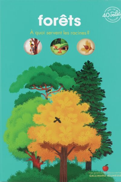 FORÊTS - A QUOI SERVENT LES RACINES ?