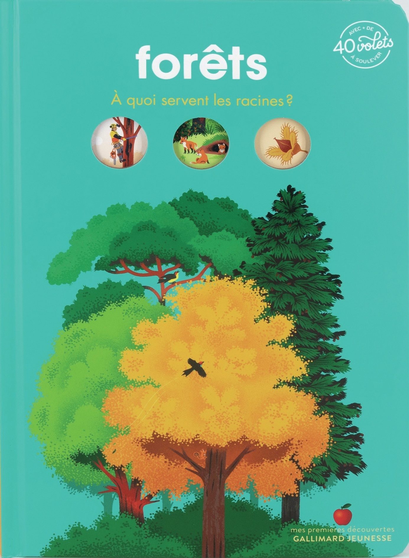 FORÊTS - A QUOI SERVENT LES RACINES ?