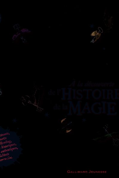 HARRY POTTER - A LA DECOUVERTE DE L'HISTOIRE DE LA MAGIE