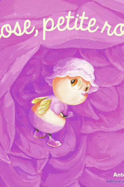 ROSE, PETITE ROSE