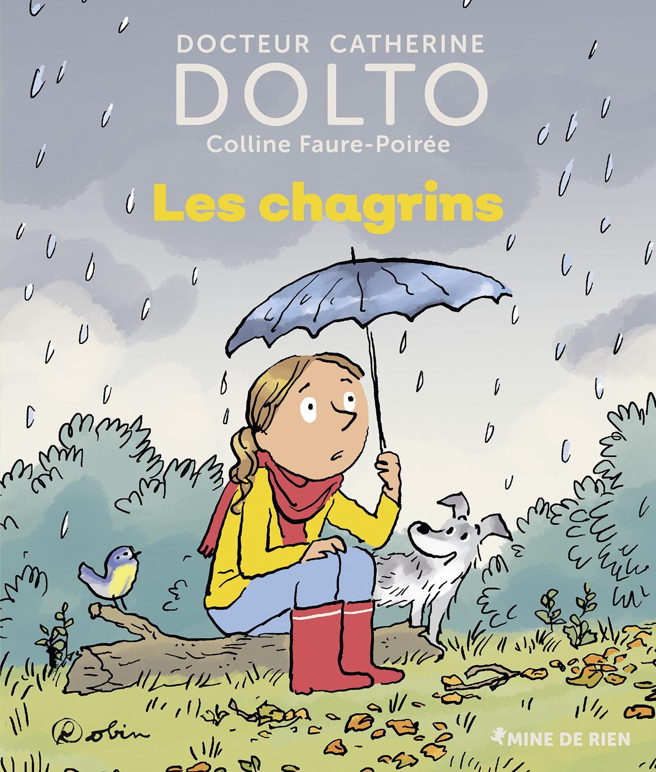 LES CHAGRINS T06 COLL. MINE DE RIEN