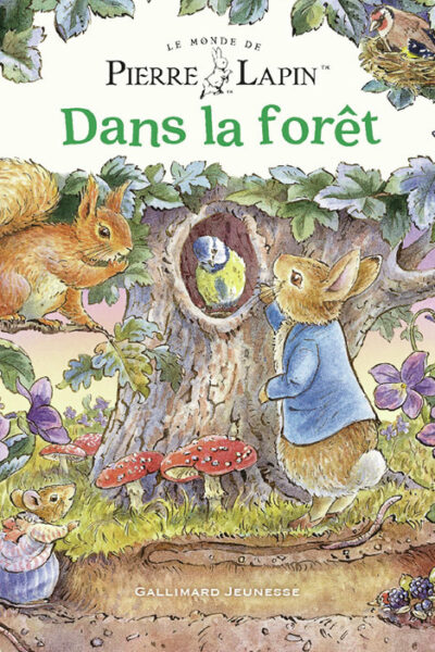 DANS LA FORÊT - LE MONDE DE PIERRE LAPIN