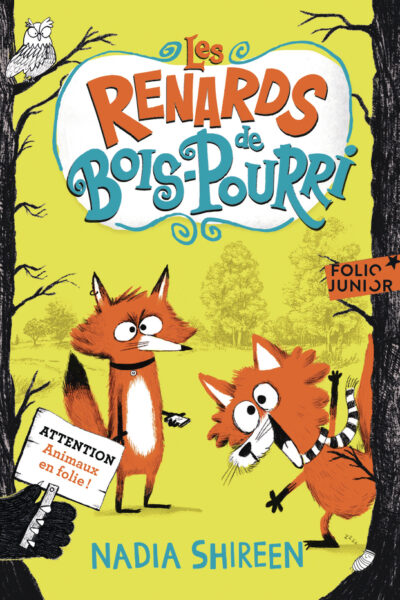 LES RENARDS DE BOIS-POURRI - T01