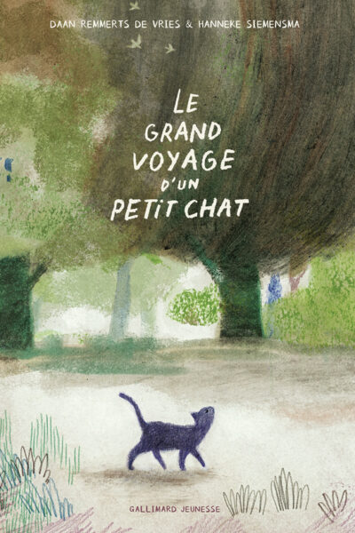 LE GRAND VOYAGE D'UN PETIT CHAT (TP)