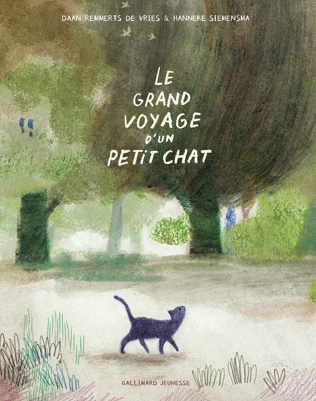 LE GRAND VOYAGE D'UN PETIT CHAT (TP)