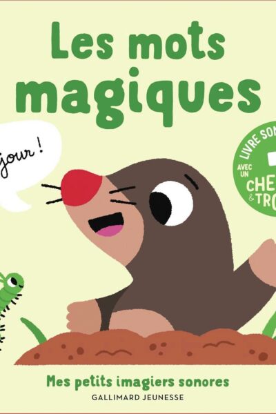 LES MOTS MAGIQUES