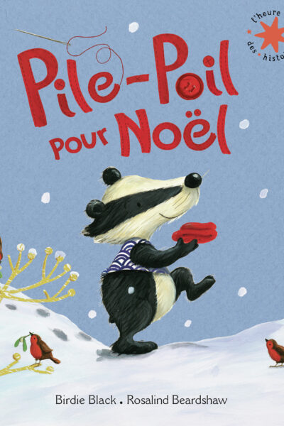PILE-POIL POUR NOÊL