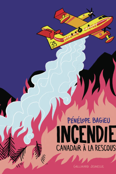 INCENDIE ! CANADAIRS A LA RESCOUSSE