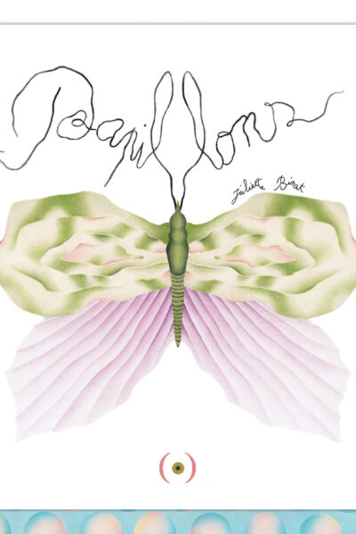 PAPILLONS !
