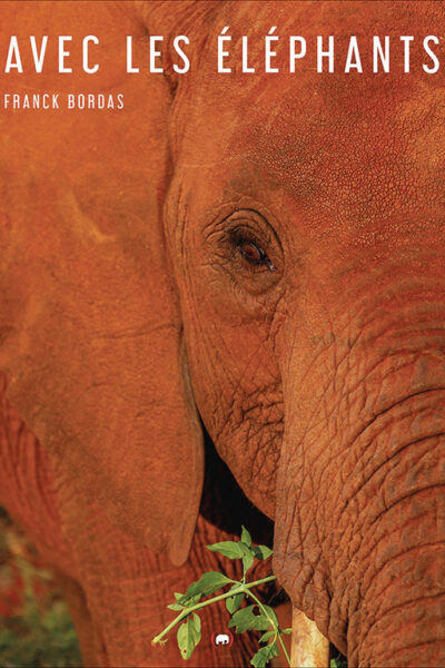AVEC LES ELEPHANTS
