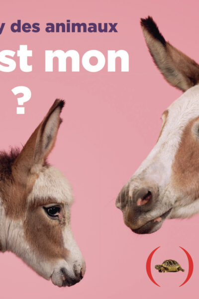 LE MEMORY DES ANIMAUX - OU EST MON PETIT ?