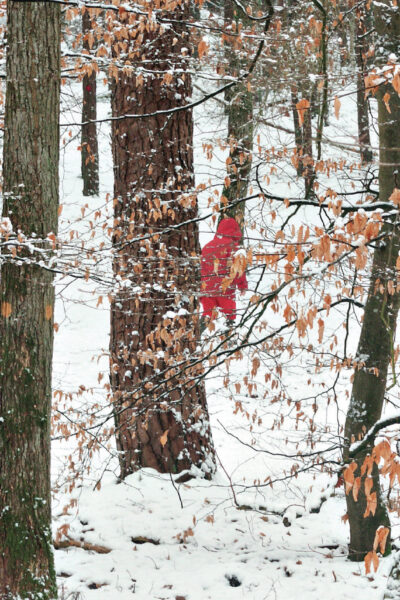 AU FIL DES SAISONS : HISTOIRES D'ARBRES ET DE ROCHERS
