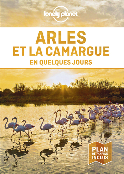 ARLES ET LA CAMARGUE EN QUELQUES JOURS 1ED