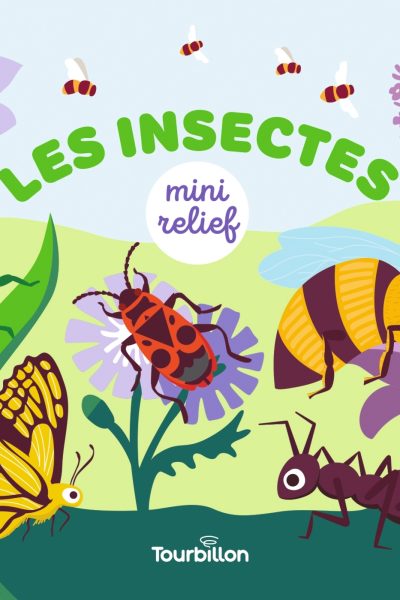 LES INSECTES