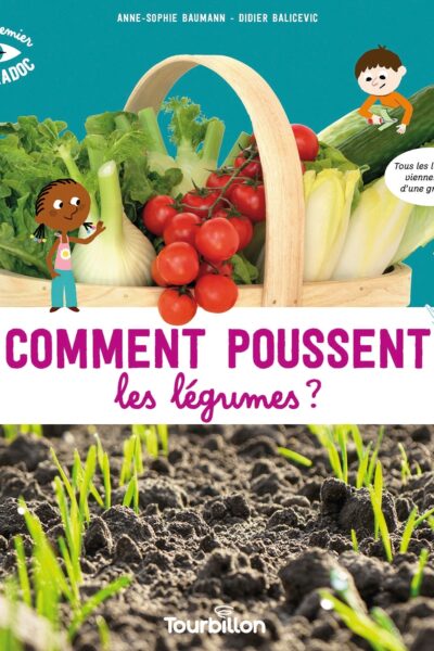 COMMENT POUSSENT LES LEGUMES ?