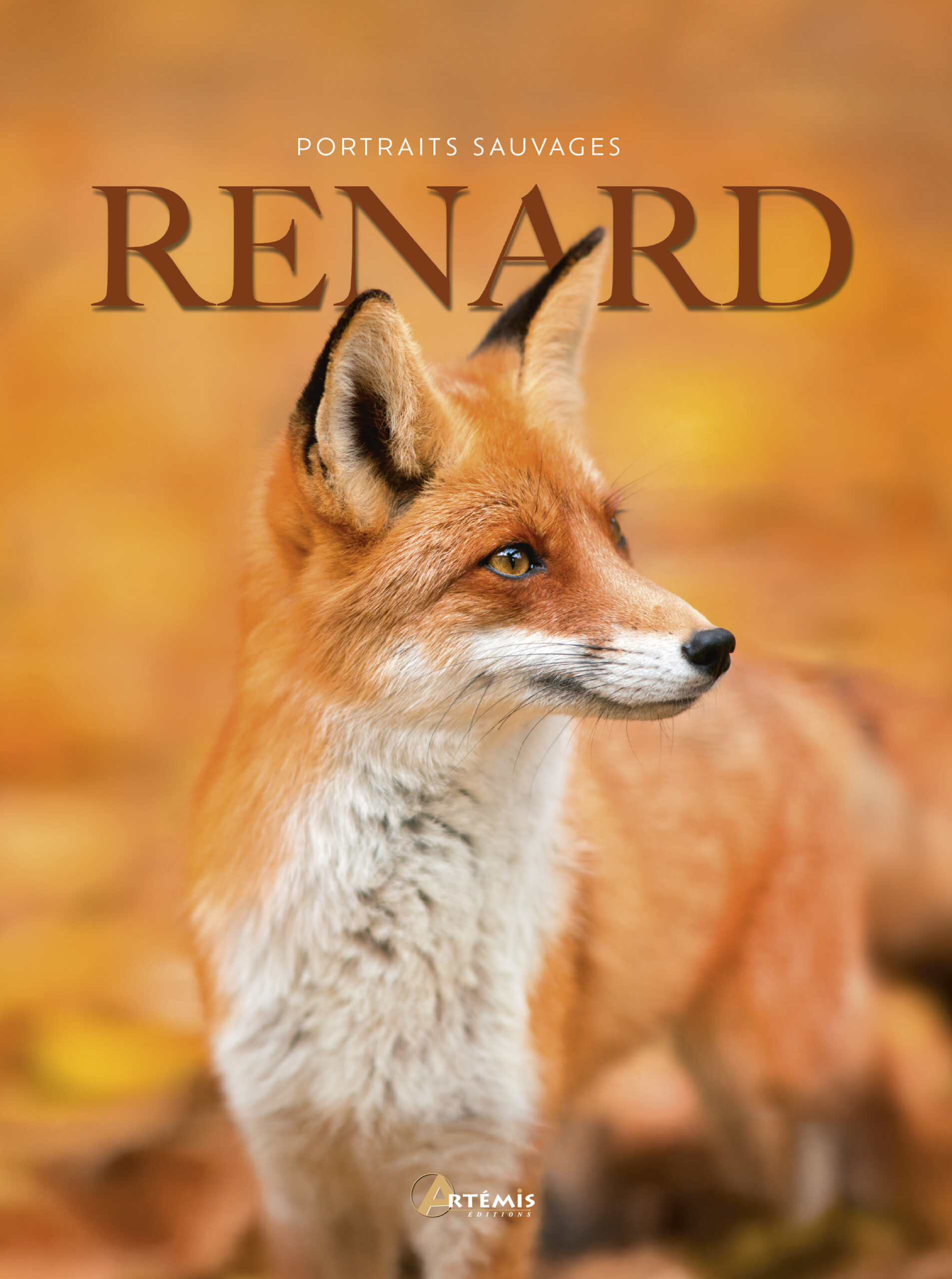 RENARD - PORTTRAITS SAUVAGES