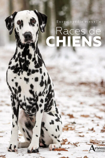 RACES DE CHIENS