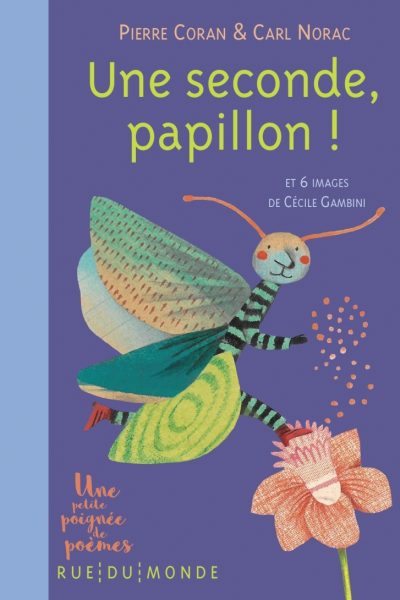 UNE SECONDE, PAPILLON !