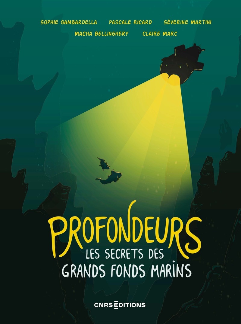 PROFONDEURS - LES SECRETS DES GRANDS FONDS MARINS