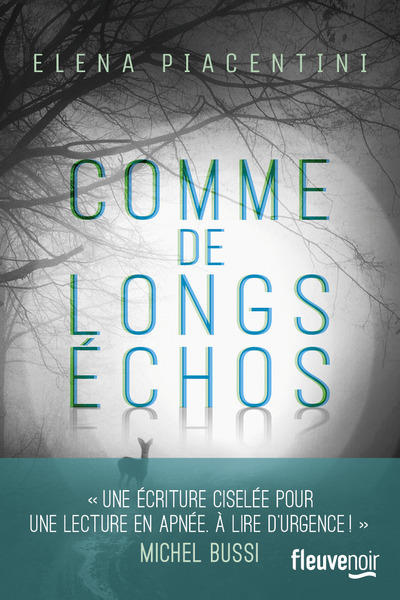 COMME DE LONGS ECHOS
