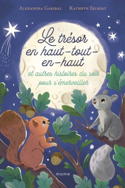 LE TRESOR EN-HAUT-TOUT-EN-HAUT ET AUTRES HISTOIRES DU SOIR POUR S'EMERVEILLER