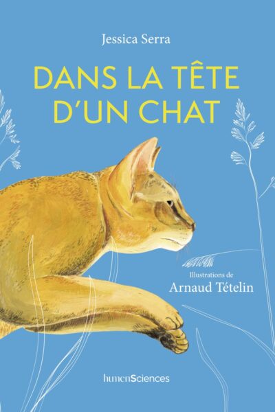 DANS LA TÊTE D'UN CHAT