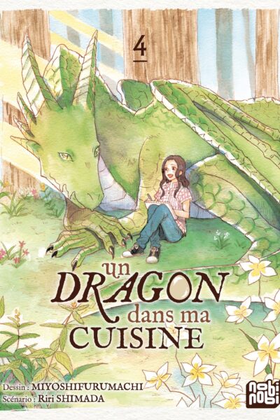 UN DRAGON DANS MA CUISINE T04