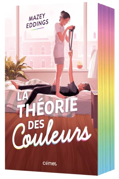 LA THEORIE DES COULEURS