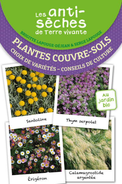 LES ANTISECHES DE TERRE VIVANTE : 25 PLANTES COUVRE-SOL