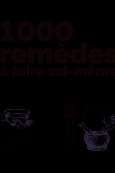 LE GUIDE TERRE VIVANTE - 1000 REMEDES A FAIRE SOI-MÊME