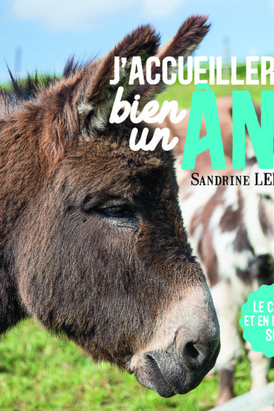 J'ACCUEILLERAIS BIEN UN ÂNE !