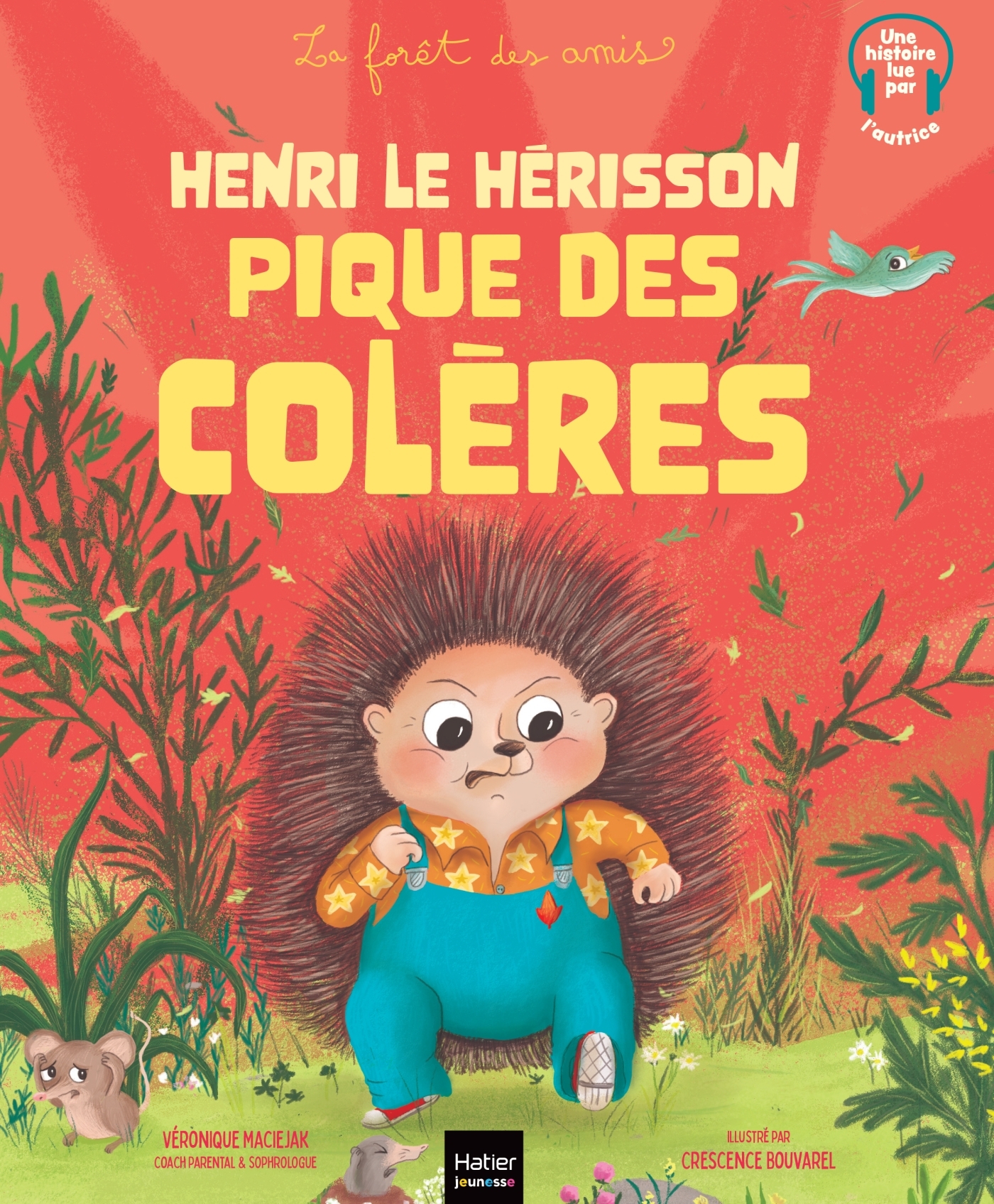 HENRI LE HERISSON PIQUE DES COLERES - LA FORÊT DES AMIS