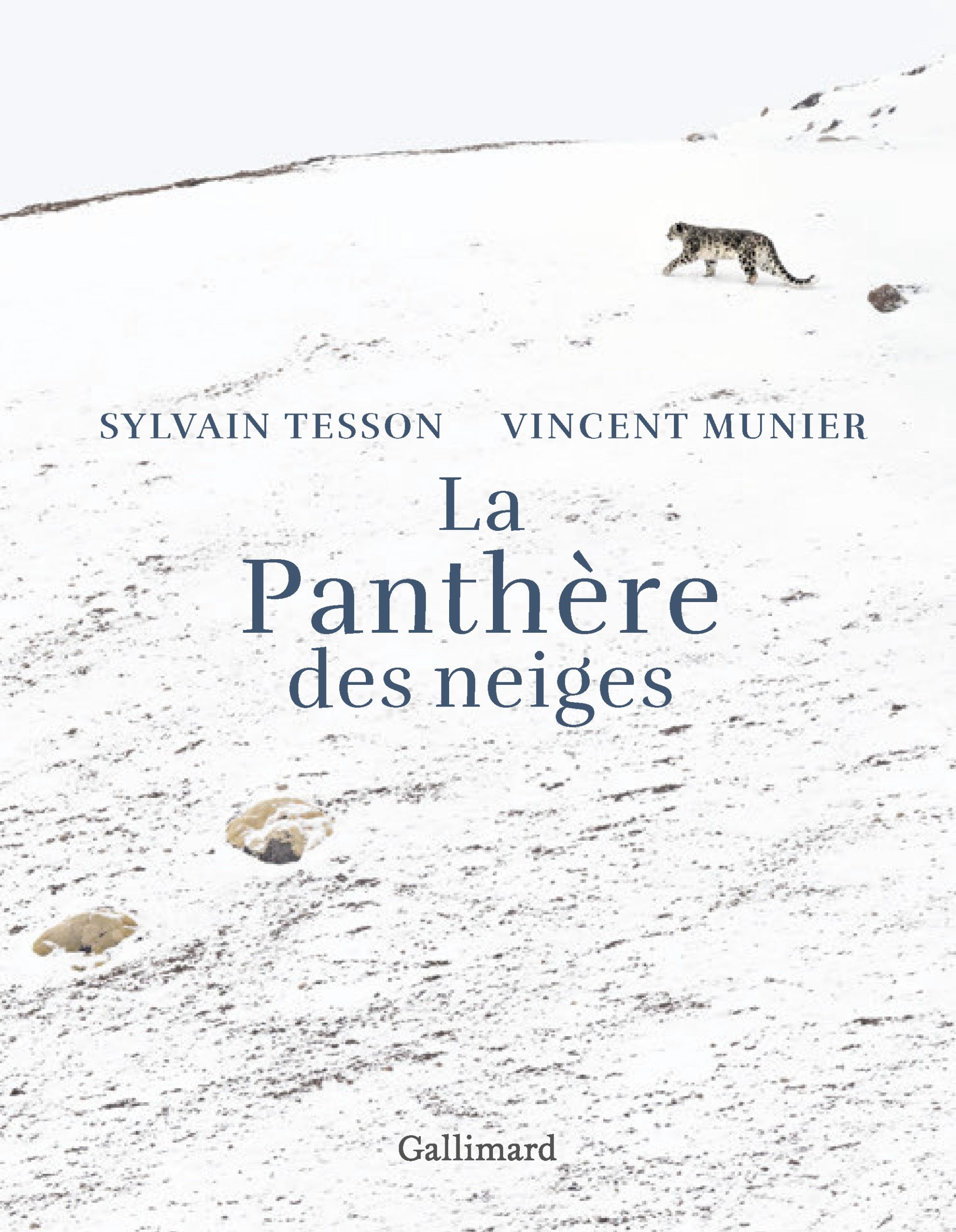 LA PANTHERE DES NEIGES - EDITION ILLUSTREE