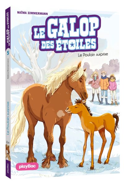LE GALOP DES ETOILES T05 LE POULAIN SURPRISE