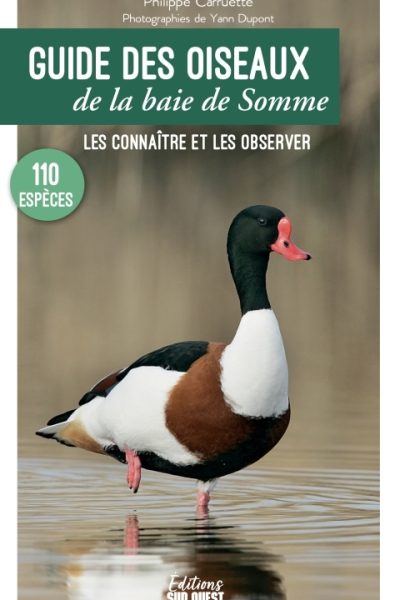 GUIDE DES OISEAUX DE LA BAIE DE SOMME. LES CONNAITRE ET LES OBSERVER
