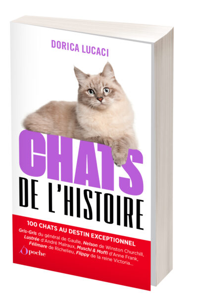 CHATS DE L'HISTOIRE