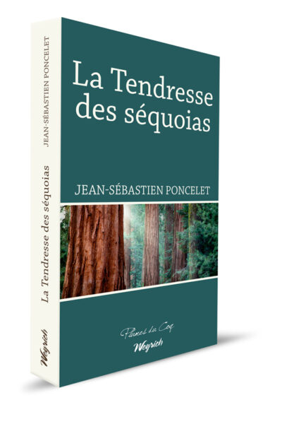 LA TENDRESSE DES SEQUOIAS