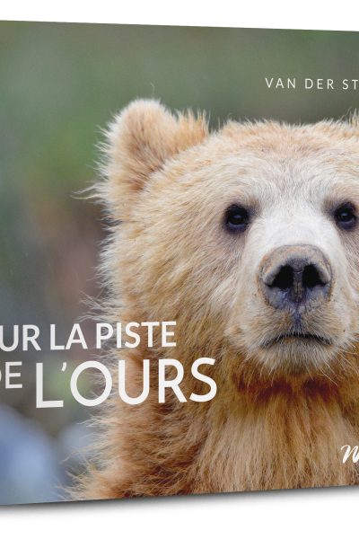 SUR LA PISTE DE L'OURS