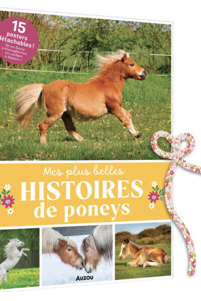 MES PLUS BELLES HISTOIRES DE PONEYS