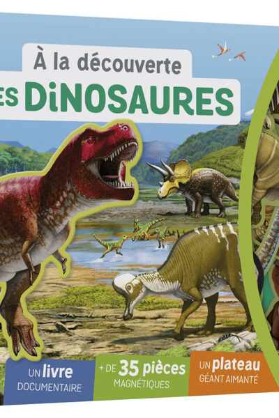 A LA DECOUVERTE DES DINOSAURES