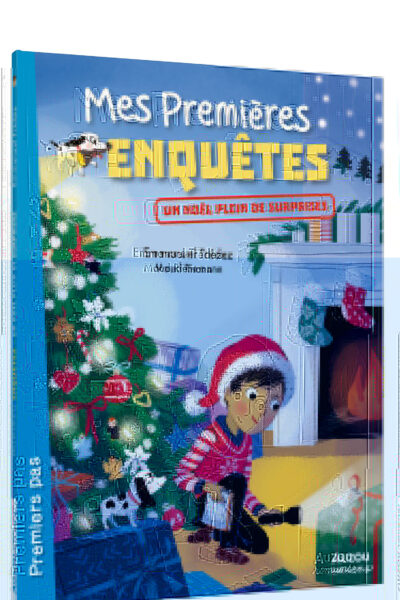 MES PREMIERES ENQUETES - T16 - MES PREMIERES ENQUETES - UN NOEL PLEIN DE SURPRISES