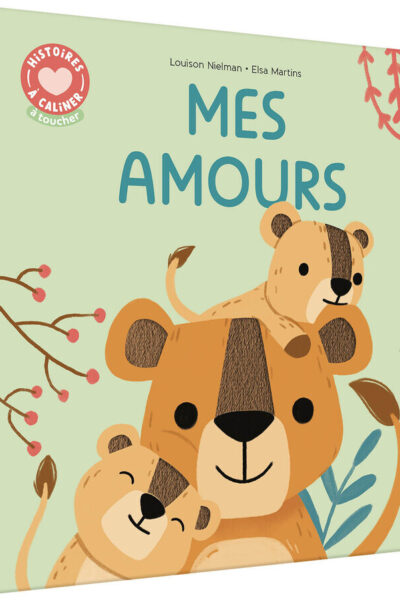 HISTOIRES A CALINER - MES AMOURS