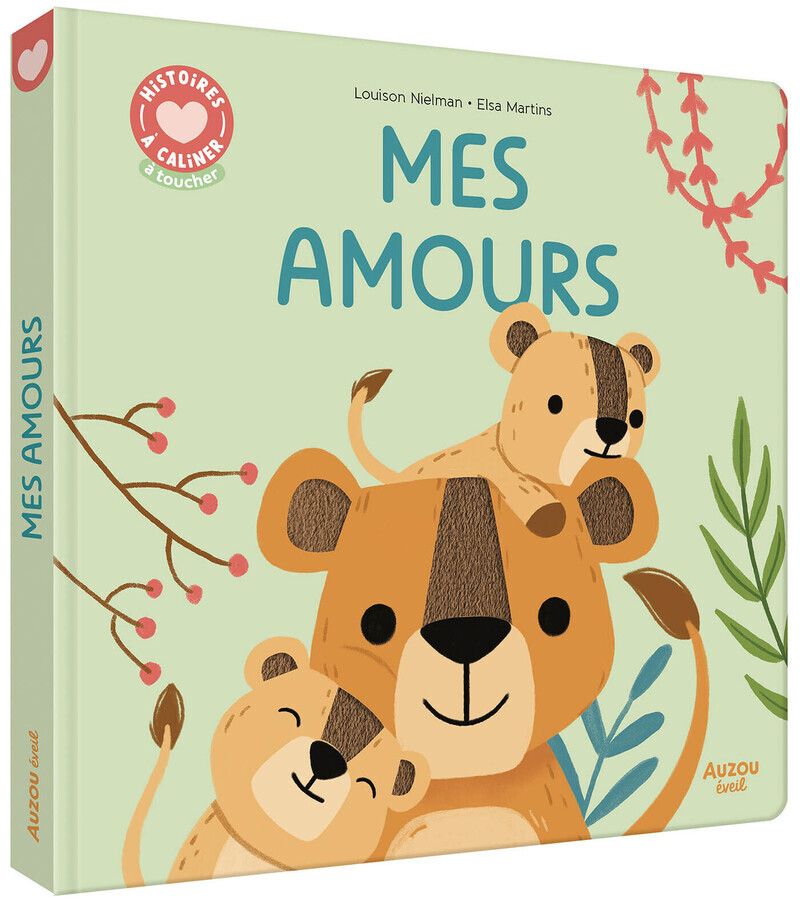 HISTOIRES A CALINER - MES AMOURS